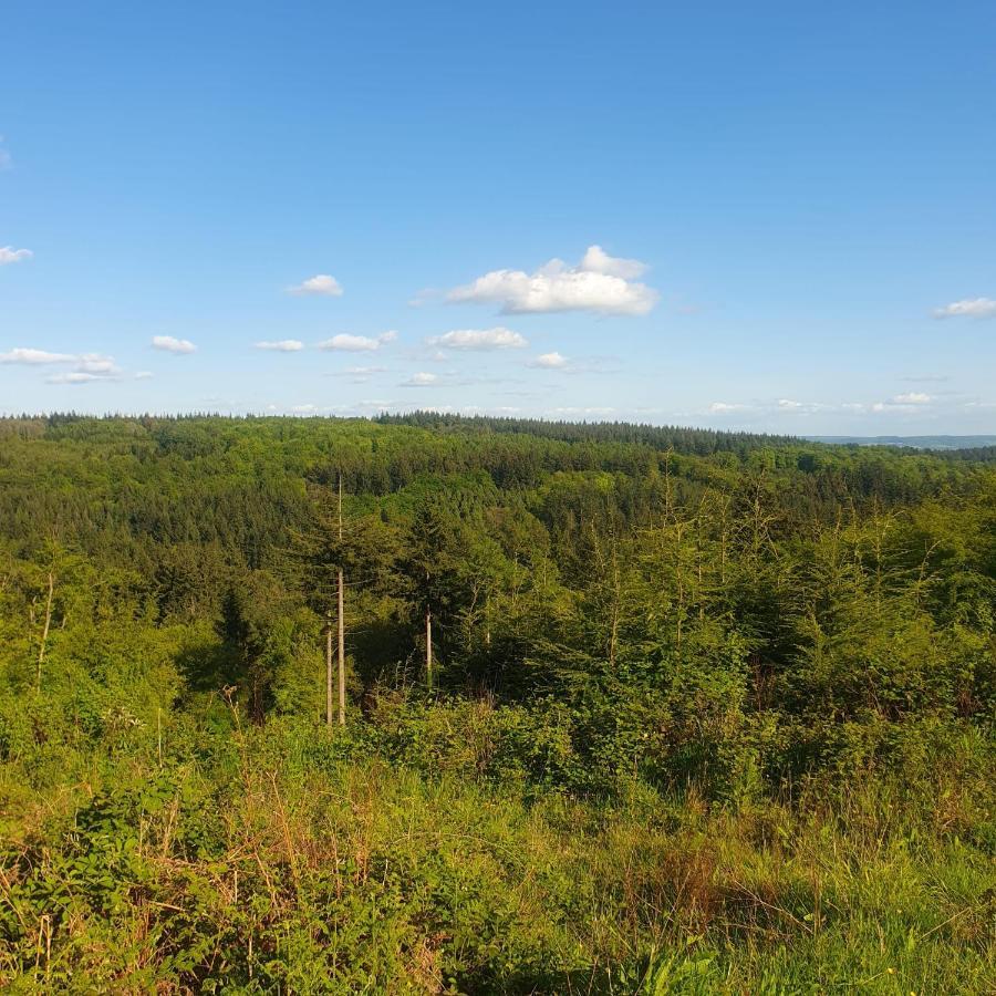 Forest Cedar Lodge, Forest Of Dean Cinderford Dış mekan fotoğraf